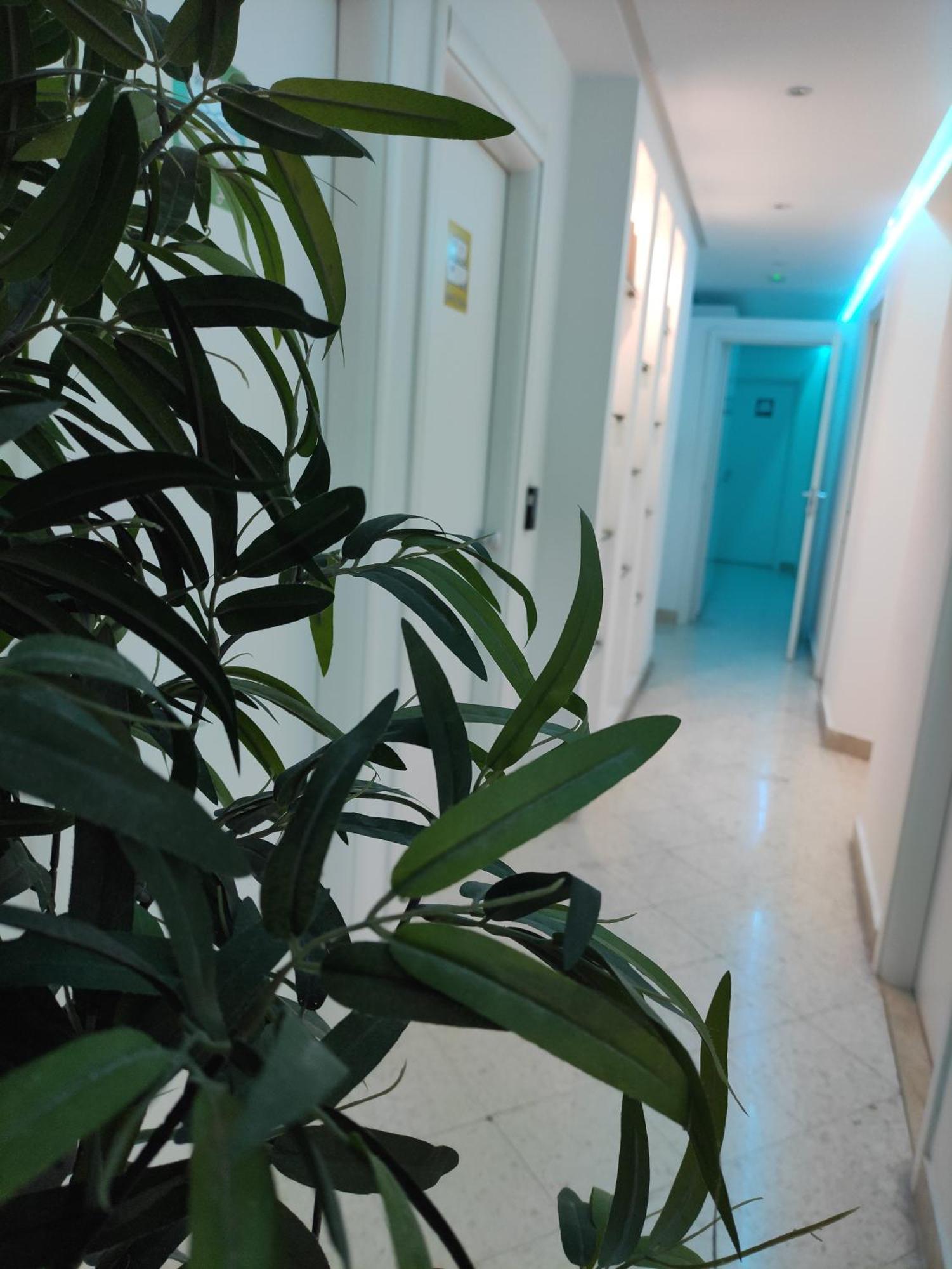 Palermo Central B&B Dış mekan fotoğraf